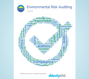 NAEM Environmental Risk Auditing Report