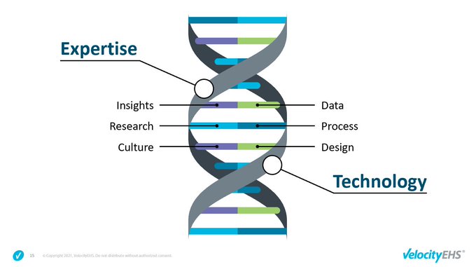 An image of a DNA strand demonstrating the relationship between human expertise and technology.